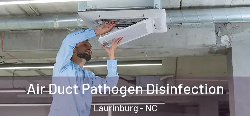 Air Duct Pathogen Disinfection Laurinburg - NC