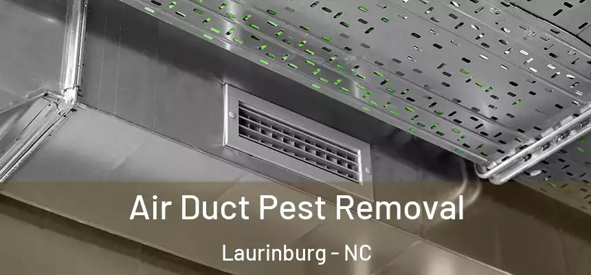  Air Duct Pest Removal Laurinburg - NC