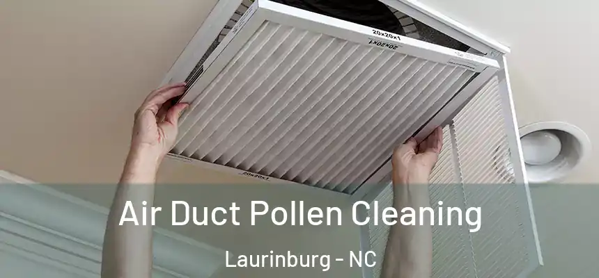  Air Duct Pollen Cleaning Laurinburg - NC