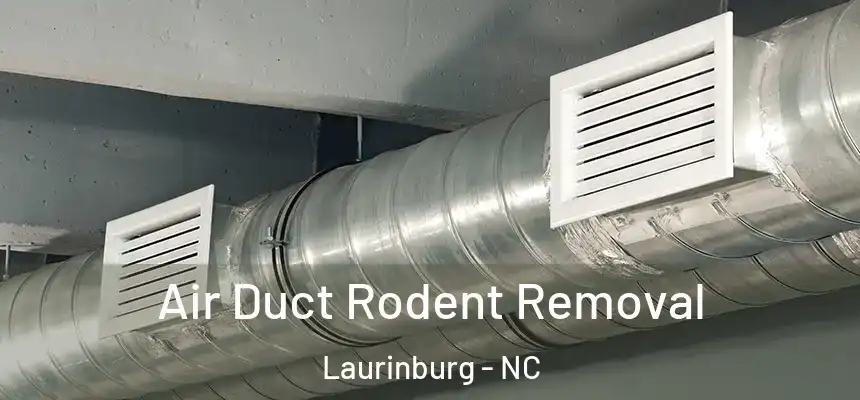  Air Duct Rodent Removal Laurinburg - NC