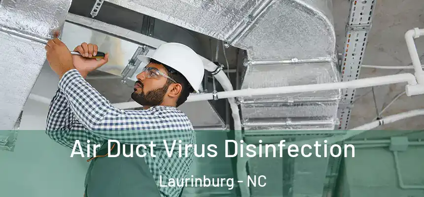  Air Duct Virus Disinfection Laurinburg - NC