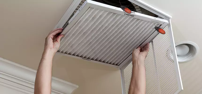Preventive Cockroach-Proofing for Ducts in Laurinburg