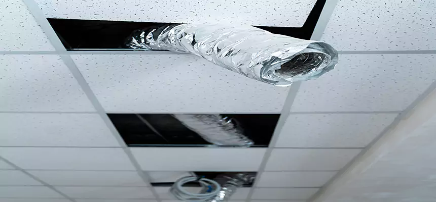 Our Air Duct Pet Hair Removal Services in Laurinburg, NC