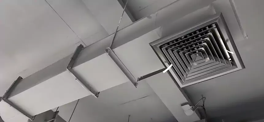 Our Pest Removal From Ducts Services in Laurinburg, NC