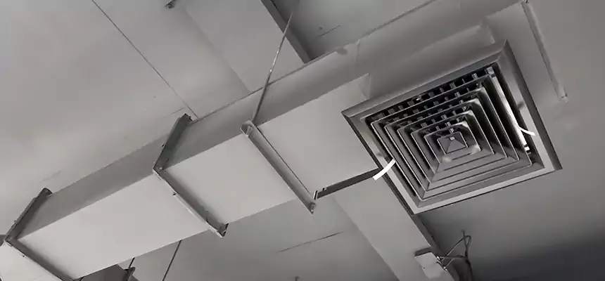 Our Rodent Droppings In Vents Services in Laurinburg, NC