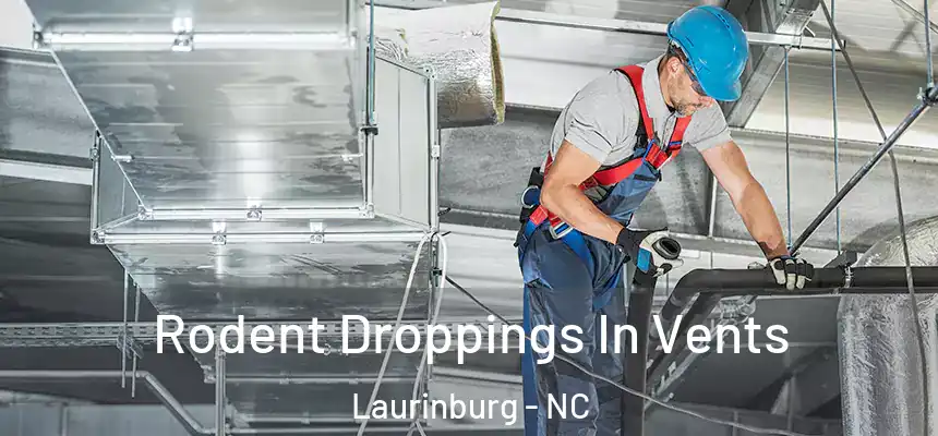  Rodent Droppings In Vents Laurinburg - NC