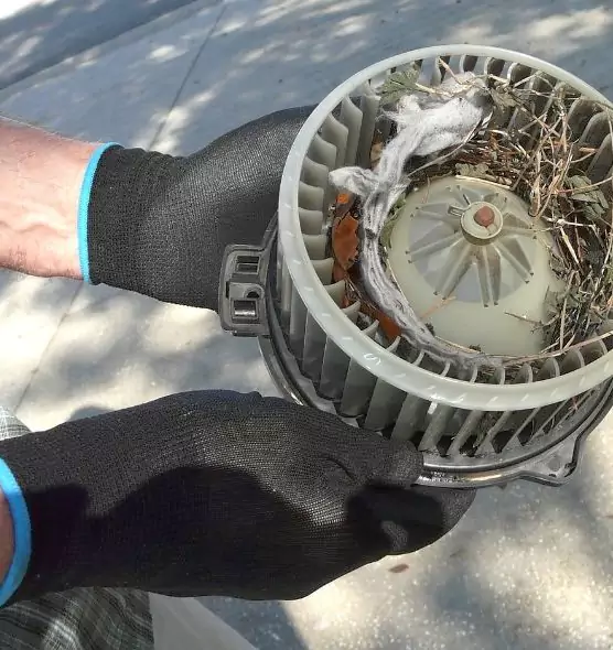 About Air Duct Rat Removal in Laurinburg, NC